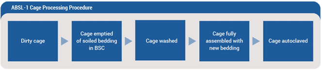 ABSL-1 Cage Processing Pocedure