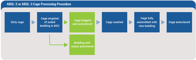 ABSL-2 or ABSL-3 Cage Processing Procedure